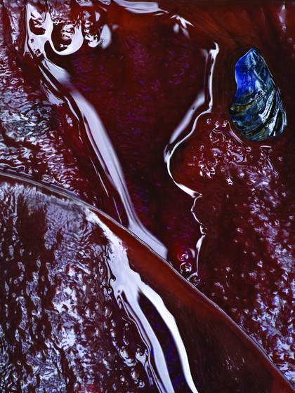 Kelp_and_shell_fragment