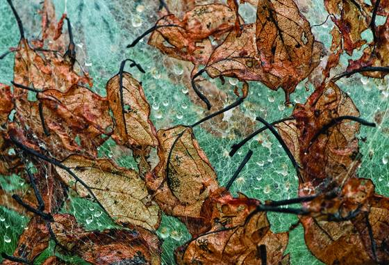 Entanglement