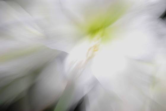 Untitled_1