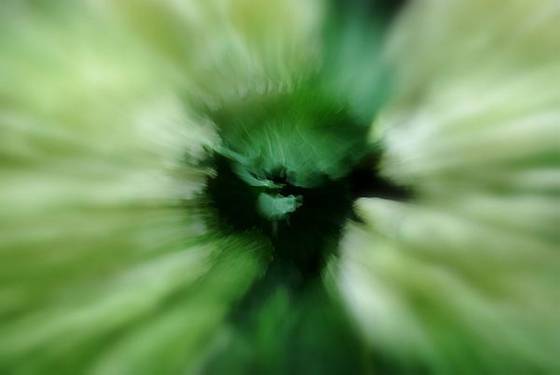 Untitled_2