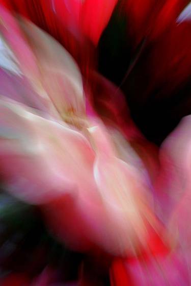 Untitled_4