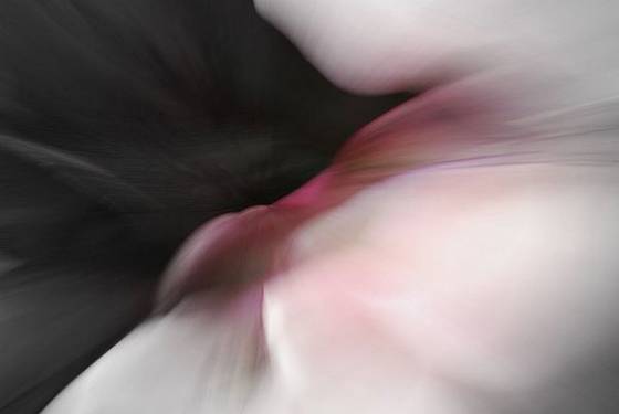 Untitled_5