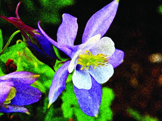 Columbine