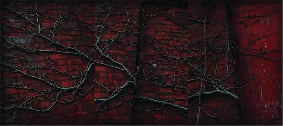 Holyoke_wall_stitch