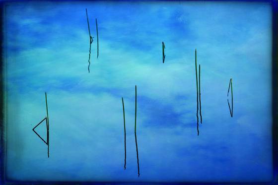 Reeds