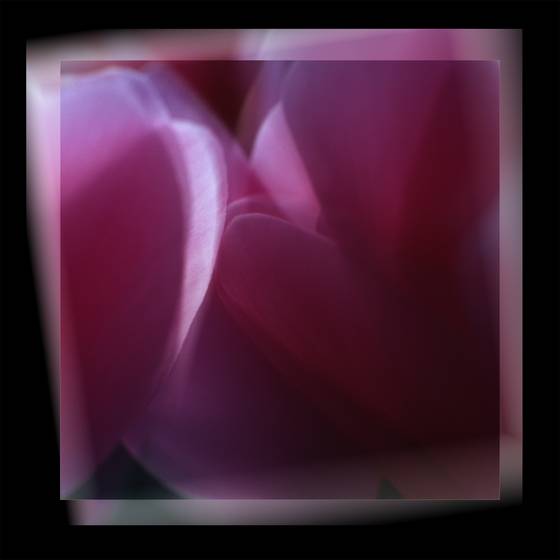Fflower_13