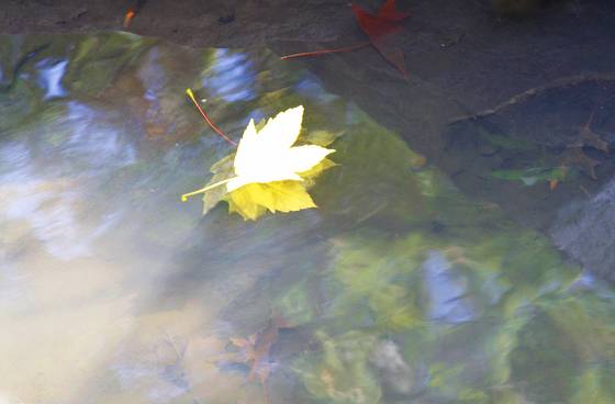 An_autumn_journey_5