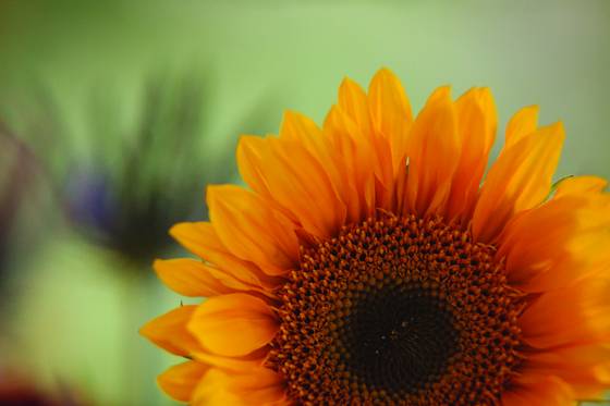 Untitled_3