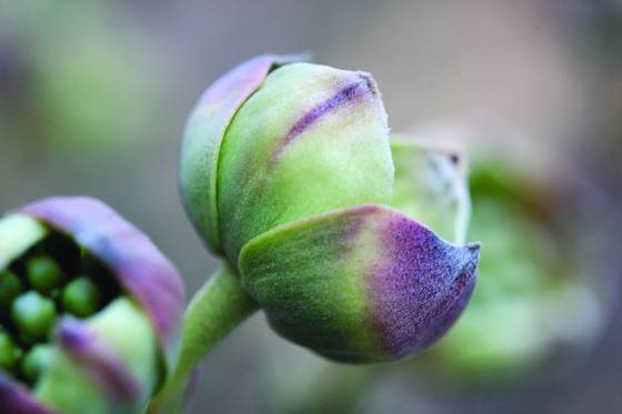 Untitled_8