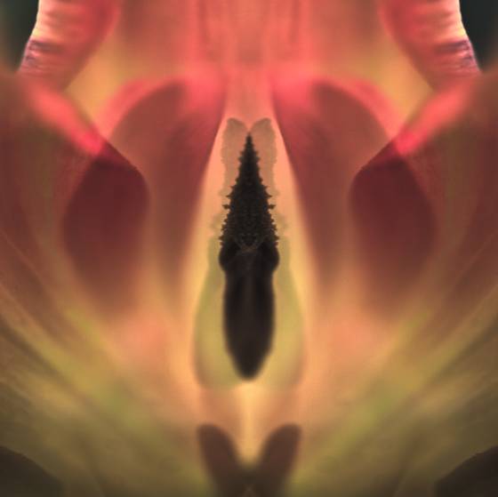 Sensual_10