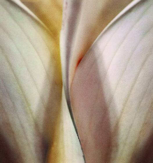 Sensual_8