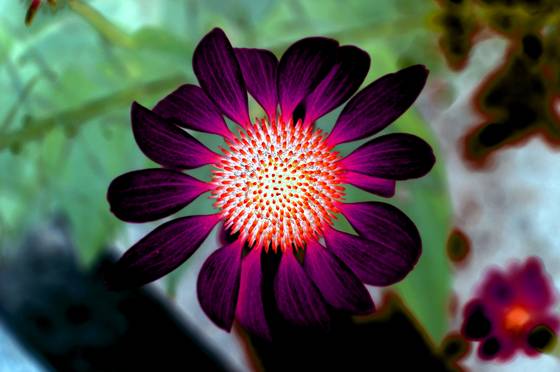 Garden_of_delight__8