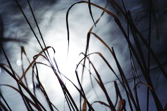 Constant_motion