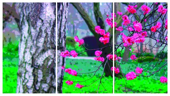 Japanese_um__31