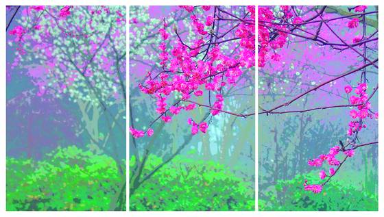 Japanese_um__5