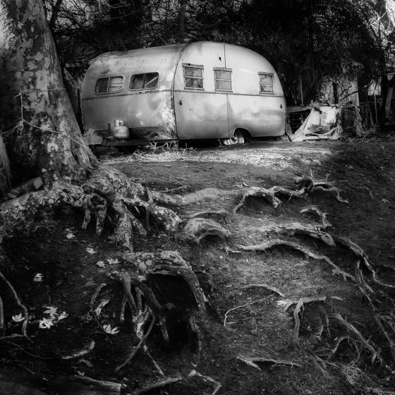 Recluse