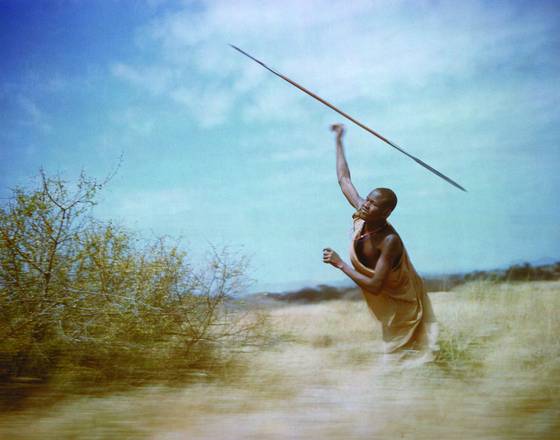 Hunting_eland