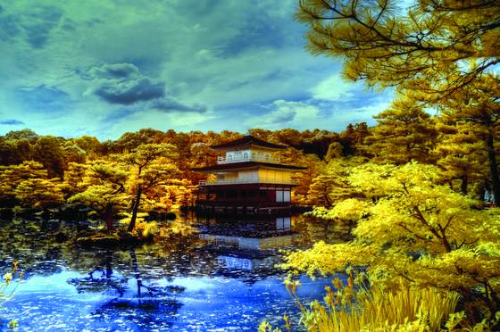 The_golden_pavilion