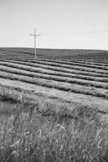 Lone_cross