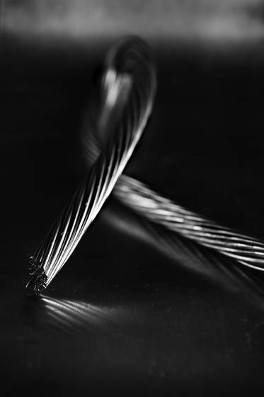 Copper_twist__on_stainless