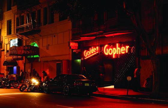Golden_gopher