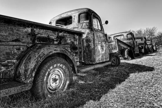 Wagon_train
