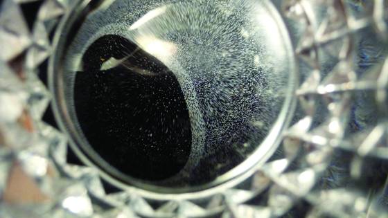 Fish_eye_ball