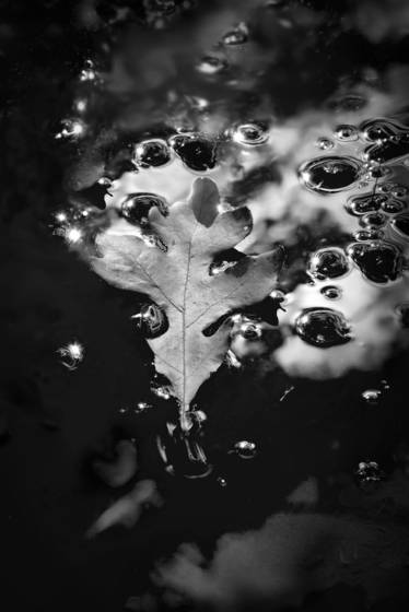 Afternoon_reflection