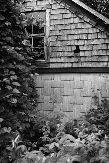 The_abare_house
