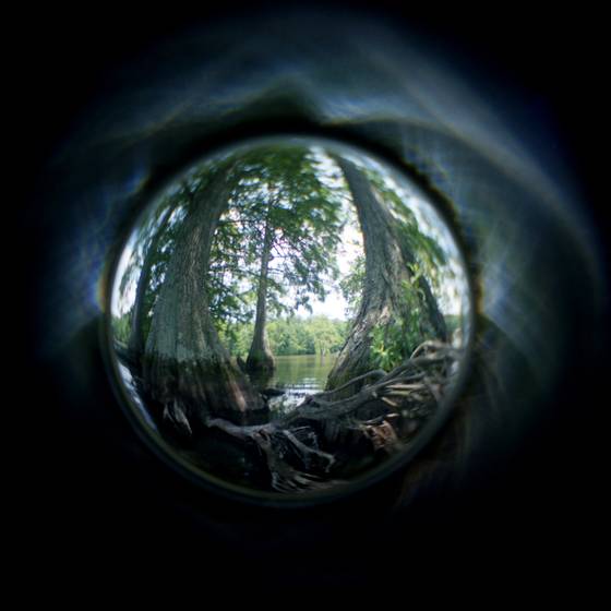 Swamp_thing