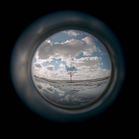 Tree_in_the_clouds