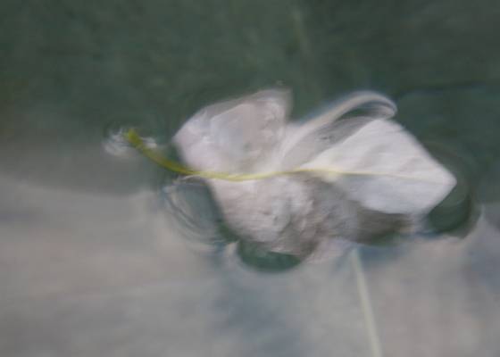 Floating