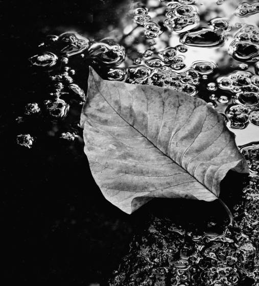 Stillness