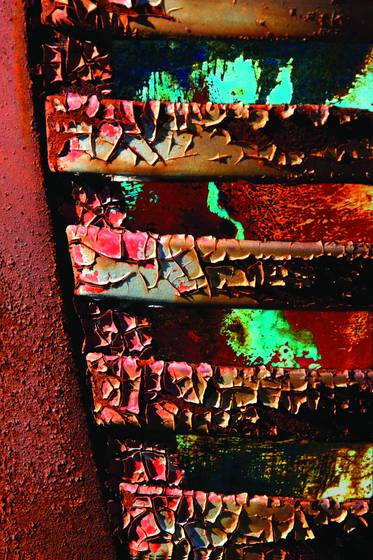 Rust_vision_1695