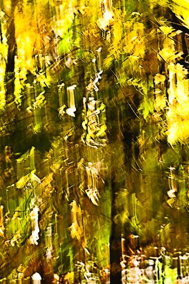 Autumn_movement_three