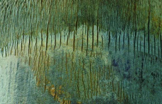 Early_spring