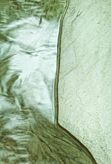Shimmer
