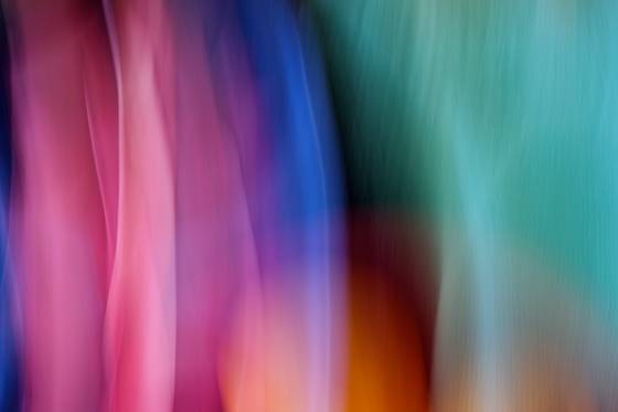 Flower_bowls___118