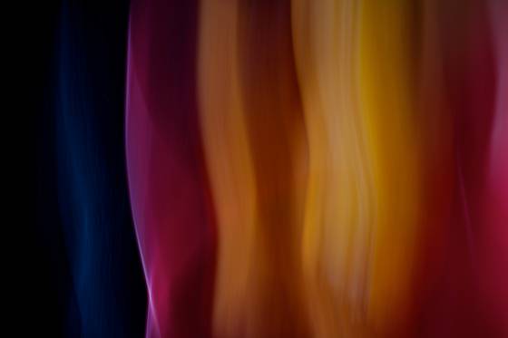 Flower_bowls___151
