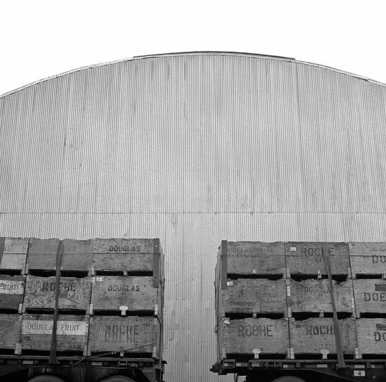 Unittled_4