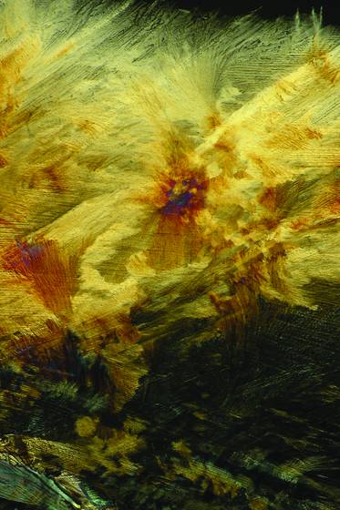Shadowland_acetaminophen_crystal