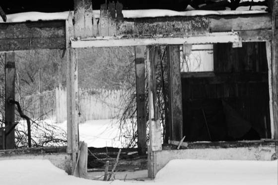 Wood_ruins