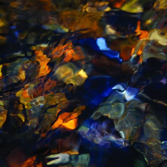Untitled_10