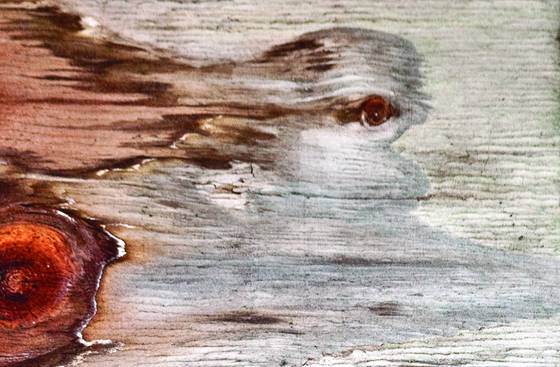 Plywood__23