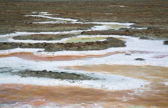 Saltscape_23