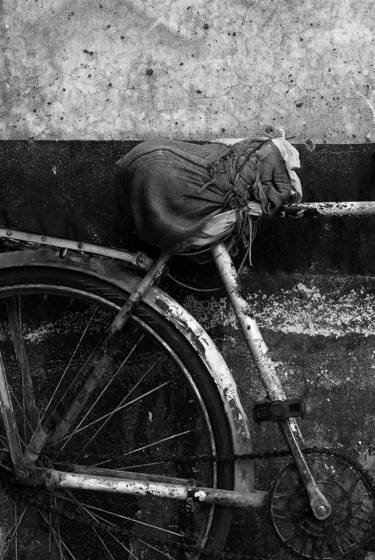 Doha_bicycles__2
