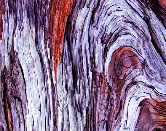 Driftwood