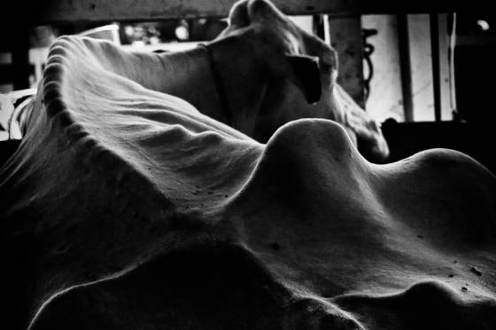 Untitled_11