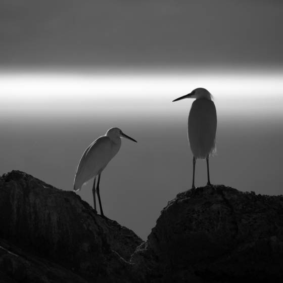 Light_for_two
