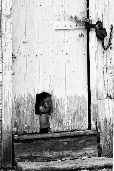 Locked_out